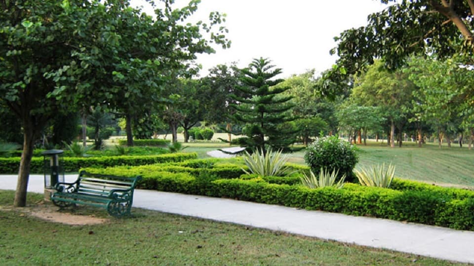 14 Marla Park Facing Kothi in Sector 10 Chandigarh   images 